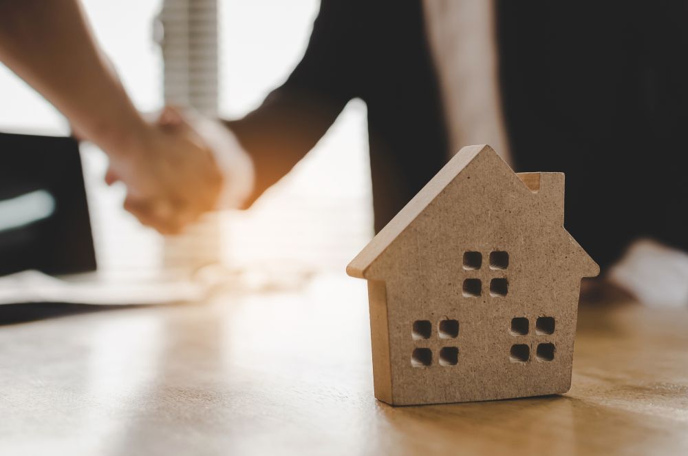 Handling Pest Control During the Summer: Landlord Responsibilities in San Diego