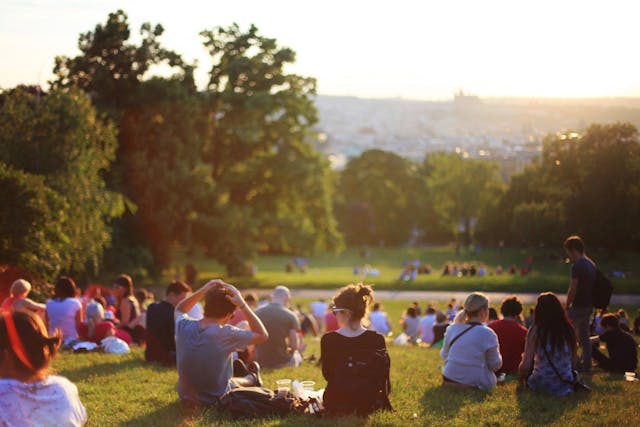 people sitting in a park