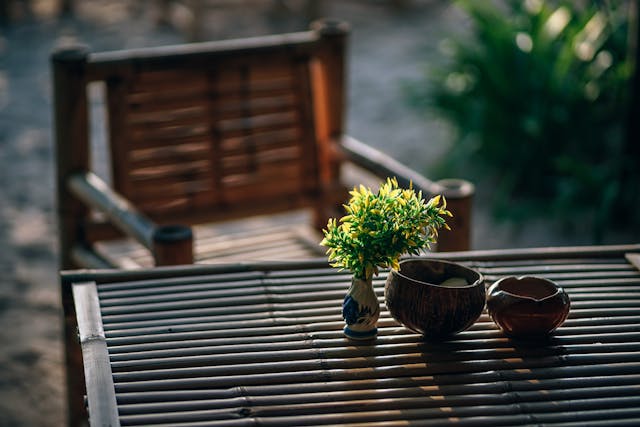 Plant on a table outdoors